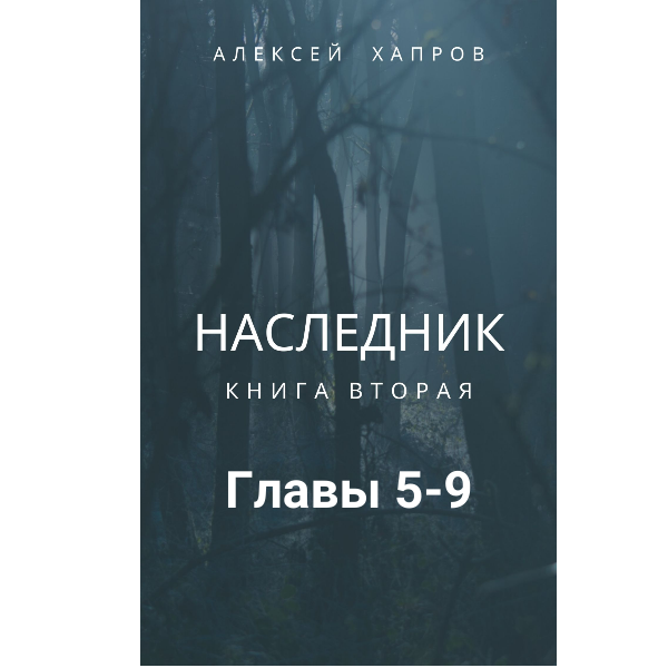 Наследник. Книга вторая
Главы 5-9