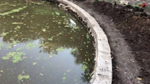 Мой пруд без пленки спустя 3 года. Обзор после чистки и углубления. Пруд своими руками.