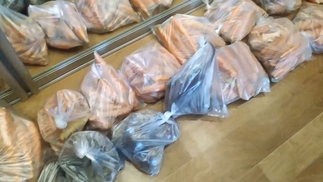 Урожай моркови, свёклы 2023. смотреть онлайн