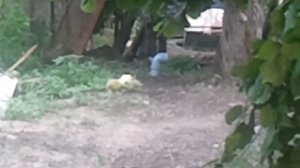 Выгребная яма из покрышек с вытяжкой часть 1