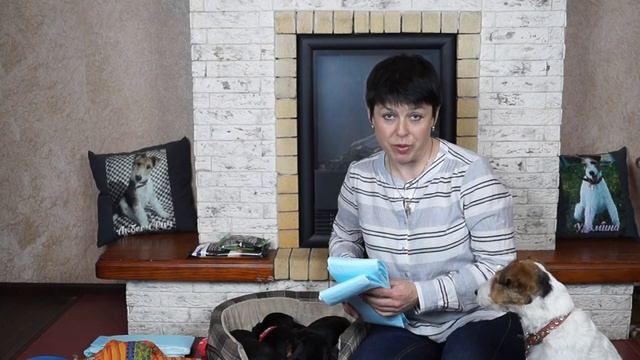 У ВАС ПОЯВИЛСЯ ЩЕНОК//НЕОБХОДИМЫЕ ВЕЩИ И ПРОСТЫЕ ПРАВИЛА смотреть онлайн