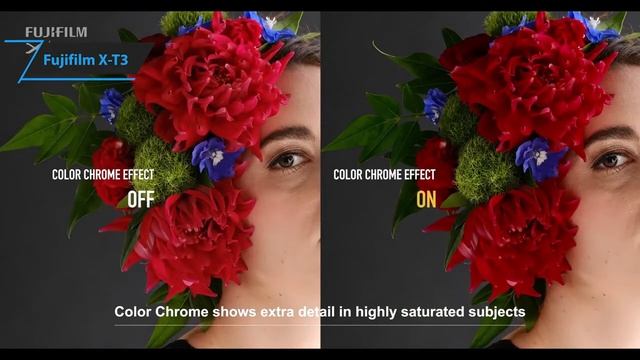 High Quality 5 BEST Mirrorless Camera смотреть онлайн