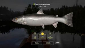 Троф Форель севанская + Голец + Форель озерная | оз. Куори | Русская Рыбалка 4