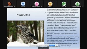 Ананин А.А. Птицы зимой в Баргузинском заповеднике