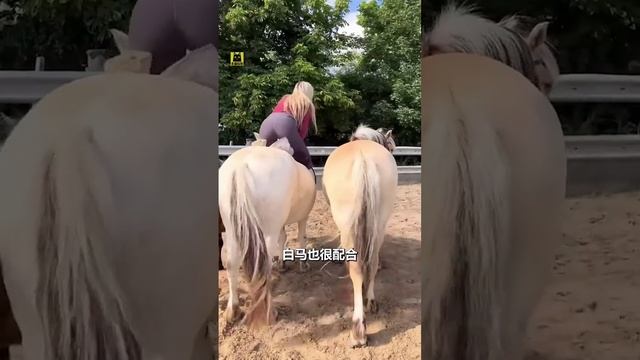 Женщина играет на лошади