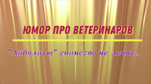 Юмор про ветеринаров: "айболиты" свинство не лечат...