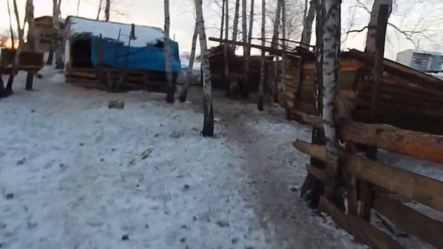 ЗИМА НА БИО-ФЕРМЕ МАНГАЛИЦА смотреть онлайн