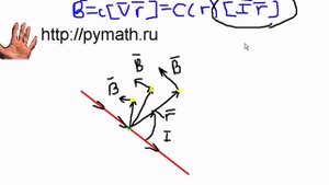 ЕГЭ физика А15. Линии магнитной индукции