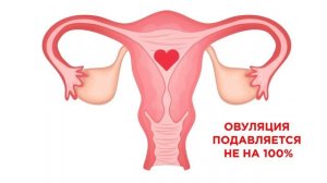 Абортивные механизмы гормональной контрацепции