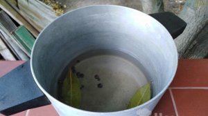 Малосольная скумбрия за сутки