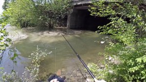 Рыбалка на бурной реке на поплавок бешеный клев