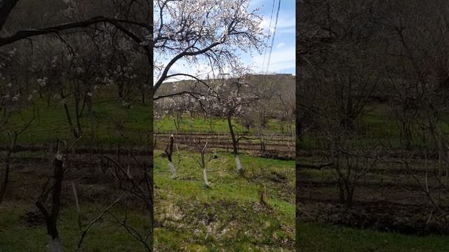 Spring, Armenia, village Agarak