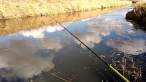 Рыбалка на спиннинг !