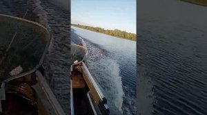 Обь 1 газисо, ямаха F9.9-15. на дистанции .