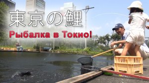 РЫБАЛКА В ЯПОНИИ, херабуна в центре ТОКИО | ИДЕАЛЬНЫЙ вариант - поплавочная рыбалка с детьми