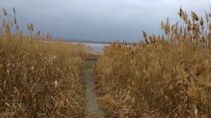 Солёное озеро 2020 год Зимой  (Ставропольский край) дорожка ? к Солёному озеру!