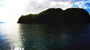 Лекция 1.  Сила мысли в деловой и повседневной жизни - Йог Рамачарака.