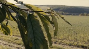 VW T5 4motion offroad camper