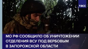МО РФ сообщило об уничтожении отделения ВСУ под Вербовым в Запорожской области