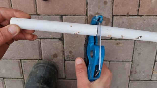 самое плохое место для огорода на окне   это окно подоконник ОГОРОД НА ОКНЕ 4 ЧАСТЬ