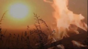 Летнее солнцестояние. Бог летнего Солнца Купала.