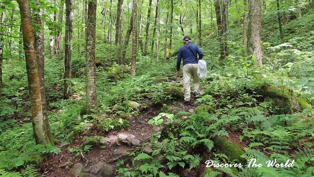 SENTIER LA MATTEUCIE - PARC NATIONAL DE LA JACQUES CARTIER смотреть онлайн