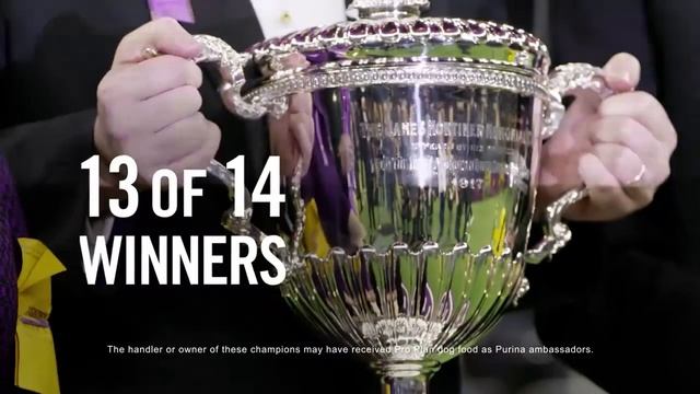 13 out of 14 Purina Pro Plan-Fueled Champions смотреть онлайн