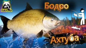 RF4 ТАКОГО Я ВООБЩЕ НЕ ОЖИДАЛ ЭТО УДИВИТЕЛЬНО #рр4