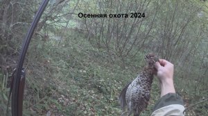 Осенняя охота. Рябчик