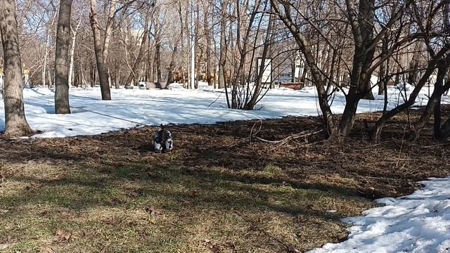 Путешествия по России. Весна в городе. смотреть онлайн