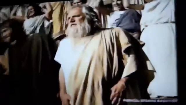 Царь зверей 🦁