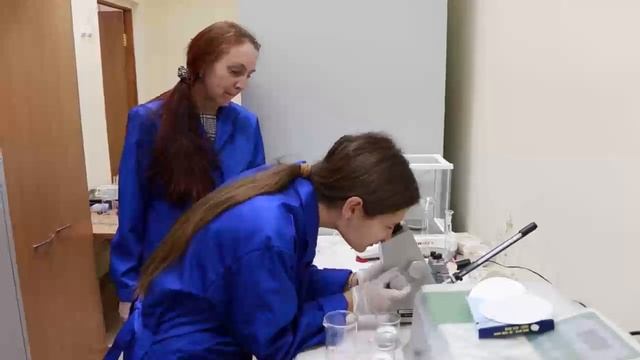 Химия "Определение сахара в продуктах питания" смотреть онлайн