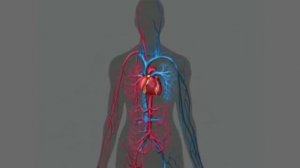 10 ФАКТОВ О ПОЛЬЗЕ СПОРТА