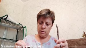 Укоренить трейлерную #фиалку. Один из методов.