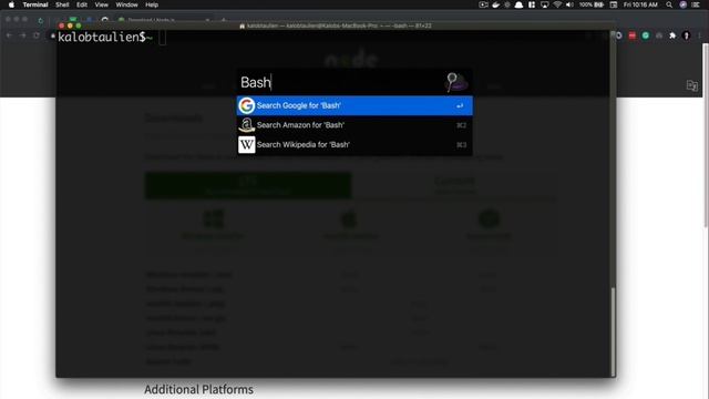3. Installing Node.js and NPM | ReactJs Premium Course
