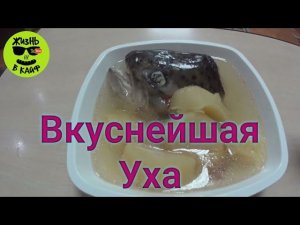 УХА ИЗ ГОЛОВ ФОРЕЛИ В АФГАН КАЗАНЕ