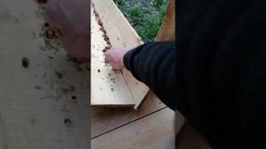 Как перебрать клюкву