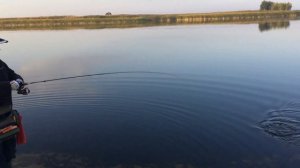 ThirtyFour 34 Advancement PSR-60 The Next Stage