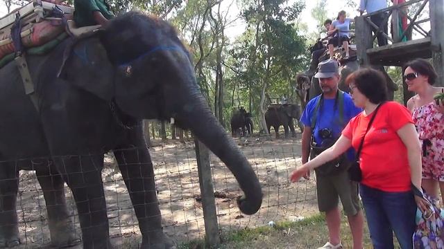 Читван (кормление слона) Настоящий Непал октябрь 2013 смотреть онлайн