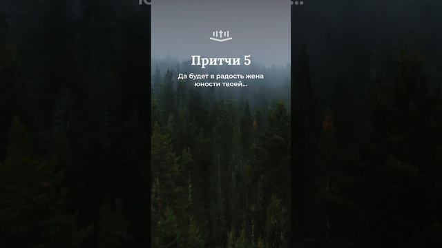 Притчи 5:15-19 #библия #притчи