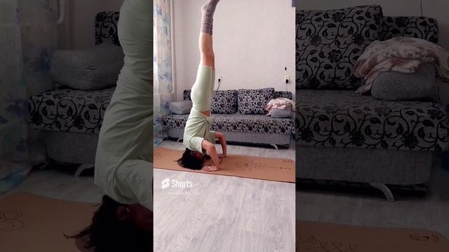 Прекрасного весеннего дня, друзья#йогадома#спорт#разминка#зарядка
