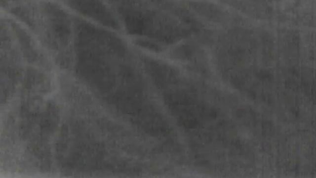 Куница в тепловизор смотреть онлайн