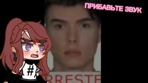 Котик в блендере....