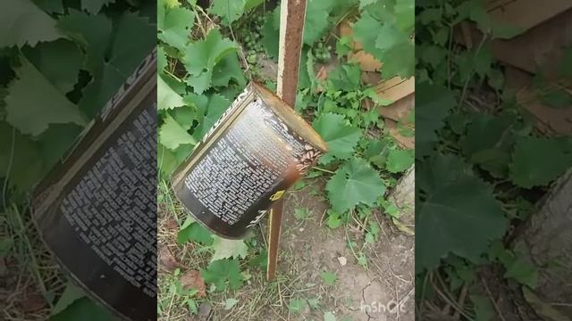 Боремся со змеями. Отпугиватель змей. смотреть онлайн