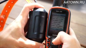 Garmin DC 40. Как обновлять охотничий собачий ошейник? И для чего это делать?