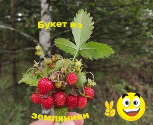 Букет из земляники