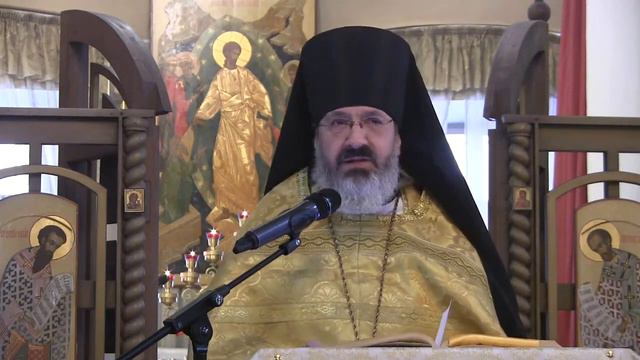 Проповедь на Литургии 13 02 2021 иером. Иоанн (Гуайта) смотреть онлайн