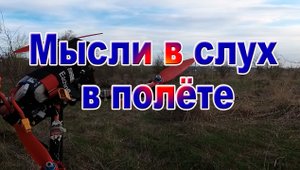 Мысли в слух в полете