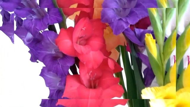 Моим Друзьям ?? Желаю Удачи, Счастья и Здоровья! Красивая музыкальная открытка - пожелание Друзьям!