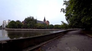 Переехал в Калининград из Санкт-Петербурга